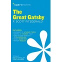 SparkNotes Great Gatsby Literature Guide 9781411469570