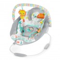 Bright Starts Whimsical Wild™ Comfy Bouncer