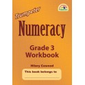 Trumpeter Numeracy Grade 3 Workbook 9781920008819