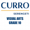 Curro Serengeti Requirements for Visual Arts Grade 10 2022