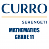 Curro Serengeti Requirements for Grade 11 Mathematics