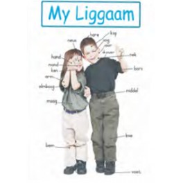 My Liggaam Plakkaat