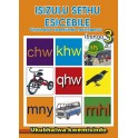 Isizulu Sethu (Phonic Programme) Grade 3 Workbook 9780796042705