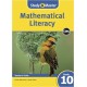 Study & Master Mathematical Literacy Learner\'s Book Grade 10