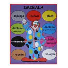 Imbala (Colours) Poster A2 Zulu FAL