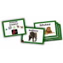 Izilwane zasendle (Wild animals) Flash Cards Zulu FAL
