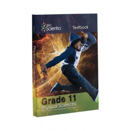 DocScientia Grade 11 Physics Textbook and Workbook 9781928504764