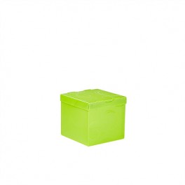 Meeco Storage Box Small Creative Collection Green