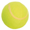 4Kids Educational Tennis Ball