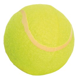 4Kids Educational Tennis Ball