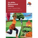 Via Afrika Mathematical Literacy Grade 11 Learner's Book 9781415423356