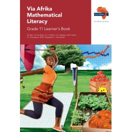 Via Afrika Mathematical Literacy Grade 11 Learner's Book 9781415423356