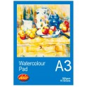 Dala A3 Watercolour Pad 300g 10 Sheet