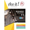 Ace It! Business Studies Grade 11 9781920356651