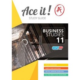 Ace It! Business Studies Grade 11 9781920356651