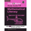 Study & Master Mathematical Literacy Study Guide Grade 11