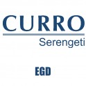 Curro Serengeti Requirements for EGD Grade 11