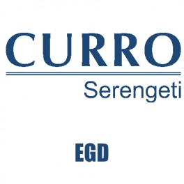 Curro Serengeti Requirements for EGD Grade 11