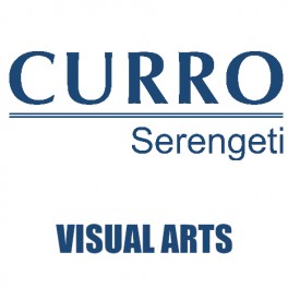 Curro Serengeti Requirements for Visual Arts Grade 11 2022