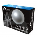 Volkano Active 65cm Anti Burst Gym Ball Grey