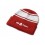 Team Spirit Beanie