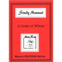 A Grain of Wheat Study Manual